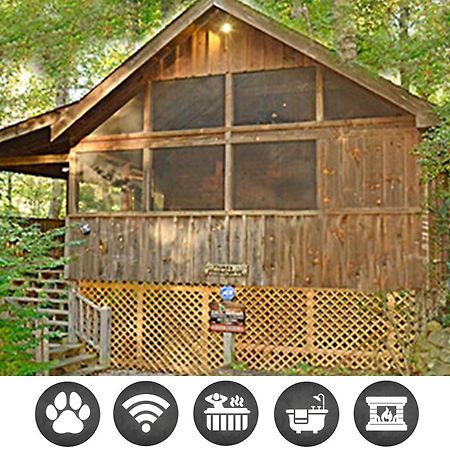 Priscilla Heights Lane Cabin 3301 비둘기 포지 외부 사진